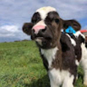 Meet your Posher, Kate_